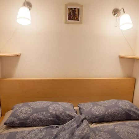 Gemuetliches 2P-Apartment In Ruhiger Lage Dresden Eksteriør bilde